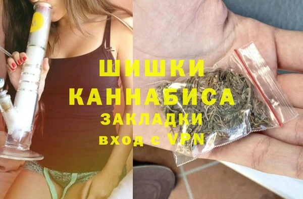 амф Алзамай