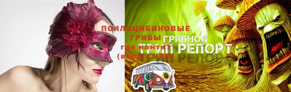 сатива Алексеевка