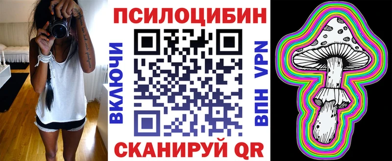mega ТОР  Камень-на-Оби  Галлюциногенные грибы Cubensis 